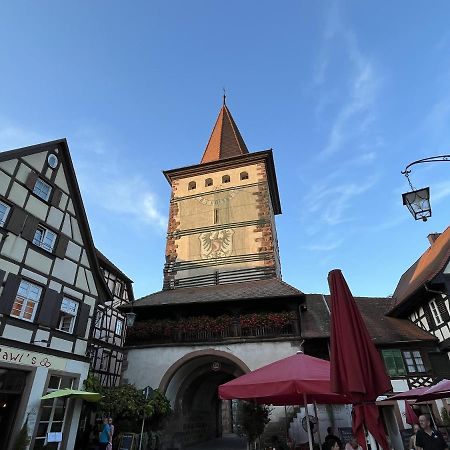 Coucou - Nest Im Schwarzwald Gengenbach Exterior foto