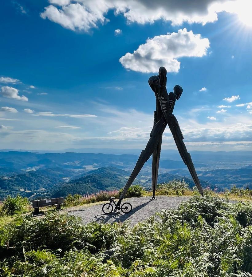 Coucou - Nest Im Schwarzwald Gengenbach Exterior foto